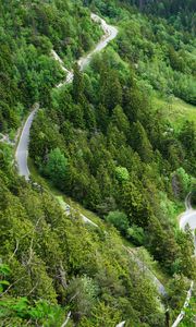 Preview wallpaper forest, road, bends, aerial view
