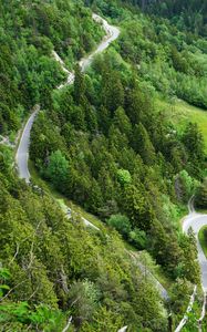Preview wallpaper forest, road, bends, aerial view