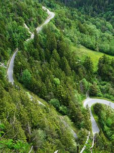 Preview wallpaper forest, road, bends, aerial view