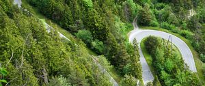 Preview wallpaper forest, road, bends, aerial view