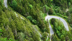 Preview wallpaper forest, road, bends, aerial view