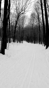 Preview wallpaper forest, road, bw, winter