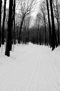 Preview wallpaper forest, road, bw, winter