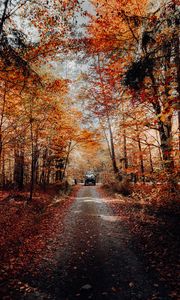 Preview wallpaper forest, road, car, autumn, nature