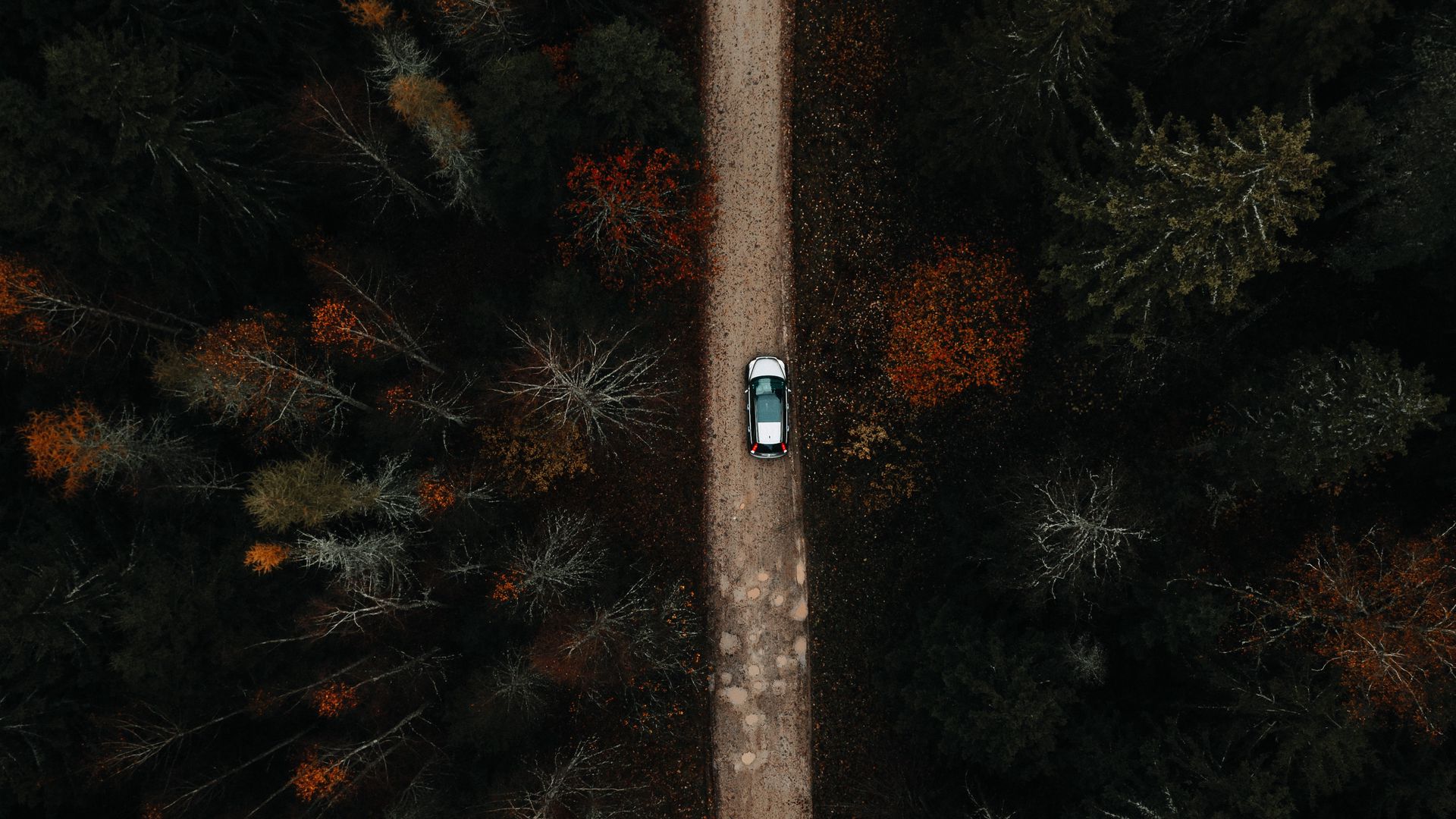 Download wallpaper 1920x1080 forest, road, car, aerial view full hd