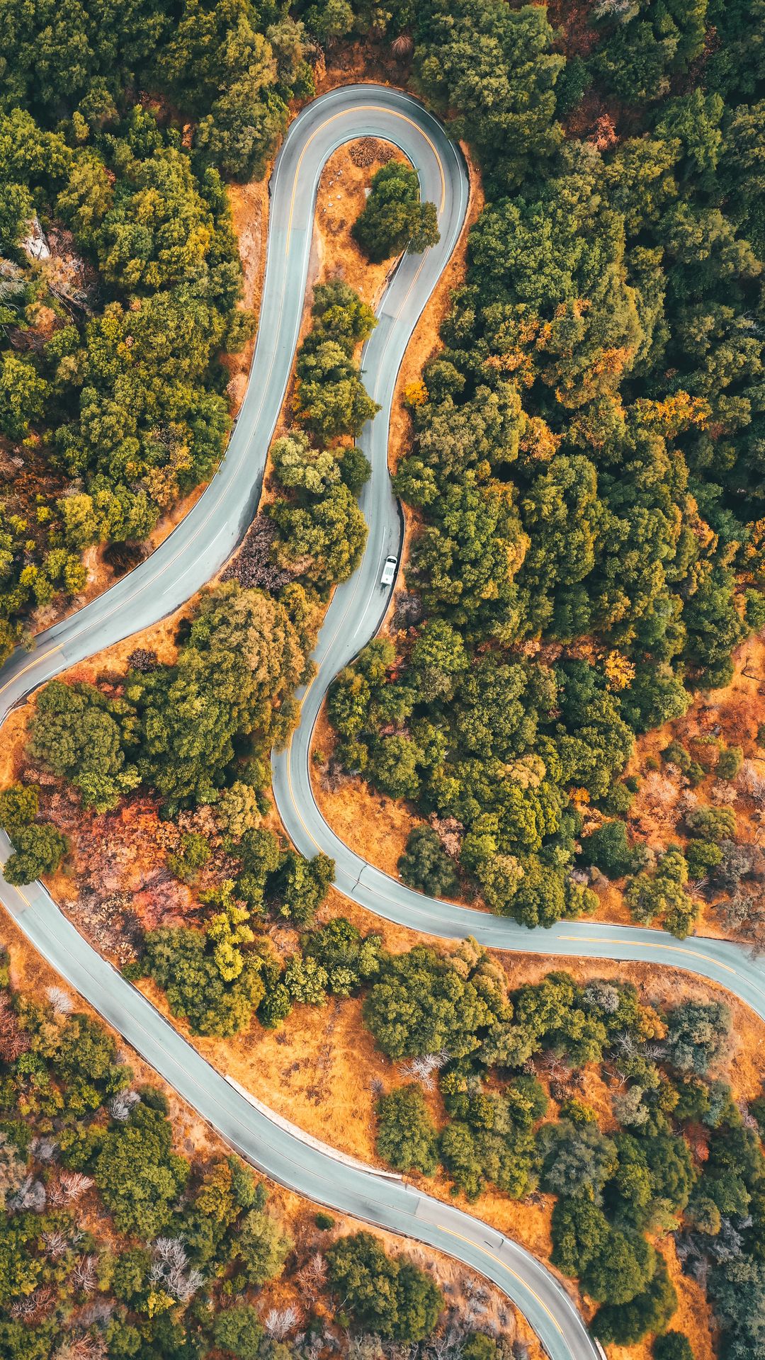 Download wallpaper 1080x1920 forest, road, car, trees, aerial view