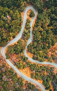 Preview wallpaper forest, road, car, trees, aerial view