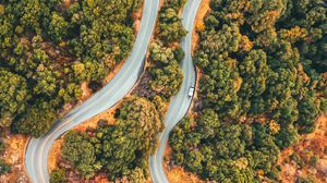 Preview wallpaper forest, road, car, trees, aerial view