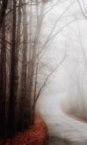 Preview wallpaper forest, road, fog, autumn, turn