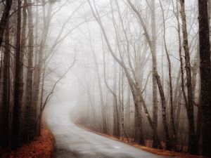 Preview wallpaper forest, road, fog, autumn, turn