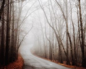 Preview wallpaper forest, road, fog, autumn, turn