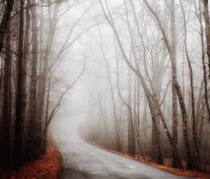 Preview wallpaper forest, road, fog, autumn, turn