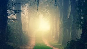 Preview wallpaper forest, road, fog, trees, light, turn