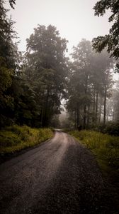 Preview wallpaper forest, road, fog, turn, trees, grass