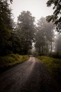 Preview wallpaper forest, road, fog, turn, trees, grass