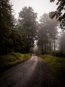 Preview wallpaper forest, road, fog, turn, trees, grass