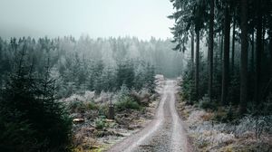 Preview wallpaper forest, road, fog, trees, nature