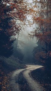 Preview wallpaper forest, road, fog, trees, autumn, nature