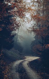Preview wallpaper forest, road, fog, trees, autumn, nature