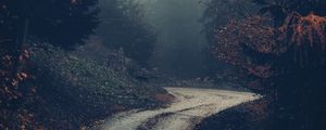 Preview wallpaper forest, road, fog, trees, autumn, nature