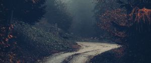 Preview wallpaper forest, road, fog, trees, autumn, nature