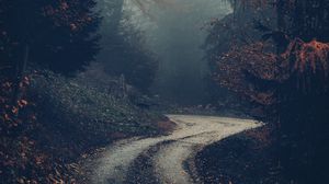 Preview wallpaper forest, road, fog, trees, autumn, nature