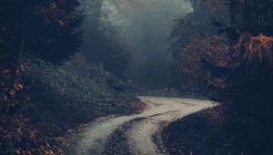 Preview wallpaper forest, road, fog, trees, autumn, nature