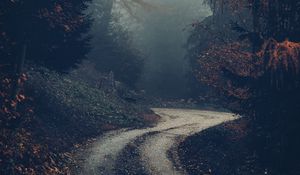 Preview wallpaper forest, road, fog, trees, autumn, nature