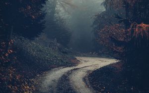 Preview wallpaper forest, road, fog, trees, autumn, nature