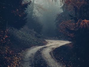 Preview wallpaper forest, road, fog, trees, autumn, nature