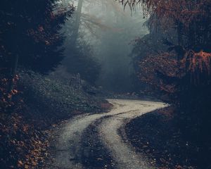 Preview wallpaper forest, road, fog, trees, autumn, nature