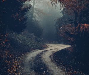 Preview wallpaper forest, road, fog, trees, autumn, nature