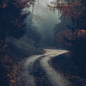 Preview wallpaper forest, road, fog, trees, autumn, nature