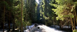 Preview wallpaper forest, road, grass, mud, snow