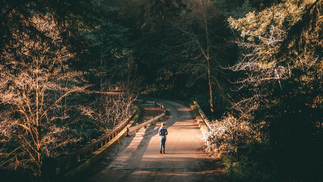 Wallpaper forest, road, man, lonely, loneliness, trees, branches