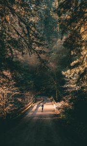 Preview wallpaper forest, road, man, lonely, loneliness, trees, branches