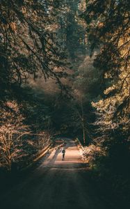 Preview wallpaper forest, road, man, lonely, loneliness, trees, branches