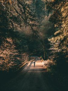 Preview wallpaper forest, road, man, lonely, loneliness, trees, branches