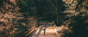 Preview wallpaper forest, road, man, lonely, loneliness, trees, branches