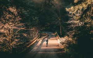 Preview wallpaper forest, road, man, lonely, loneliness, trees, branches