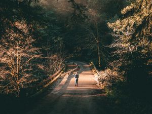 Preview wallpaper forest, road, man, lonely, loneliness, trees, branches