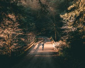 Preview wallpaper forest, road, man, lonely, loneliness, trees, branches