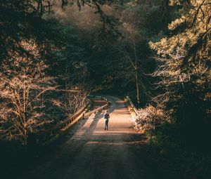 Preview wallpaper forest, road, man, lonely, loneliness, trees, branches