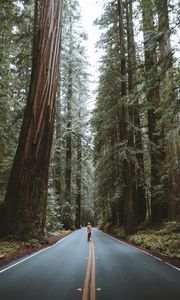 Preview wallpaper forest, road, man, trees, asphalt