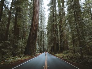 Preview wallpaper forest, road, man, trees, asphalt