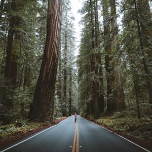 Preview wallpaper forest, road, man, trees, asphalt