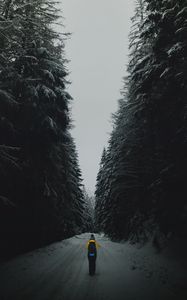 Preview wallpaper forest, road, silhouette, snow, winter, dusk