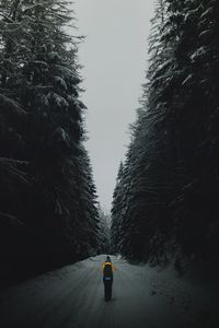 Preview wallpaper forest, road, silhouette, snow, winter, dusk