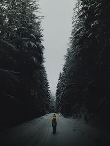 Preview wallpaper forest, road, silhouette, snow, winter, dusk