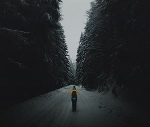 Preview wallpaper forest, road, silhouette, snow, winter, dusk